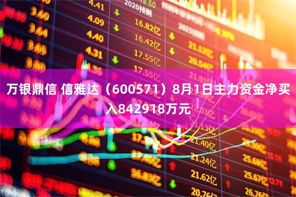 万银鼎信 信雅达（600571）8月1日主力资金净买入842918万元